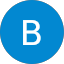 Brian L. Avatar